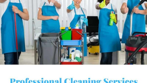 Cleaning Lady Montreal