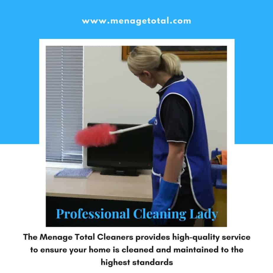 Professional Lady Cleaners