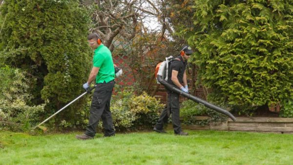 Garden Cleaning Services