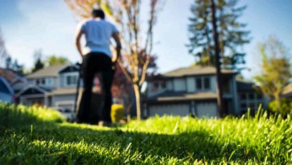 Lawn Cleaning Services Montreal