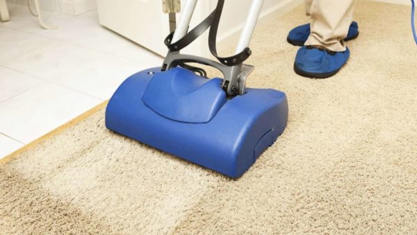 Organic Carpet Cleaning Services