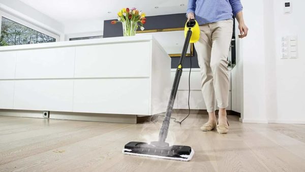 Professional Steam Cleaner Services