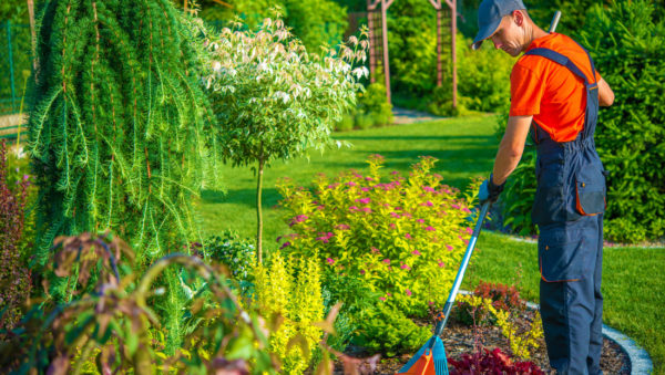 Garden Cleaning