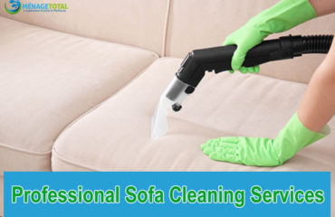 professional Sofa Cleaning Services