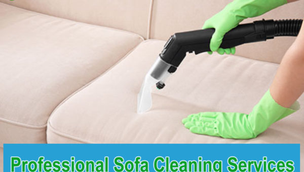 professional Sofa Cleaning Services